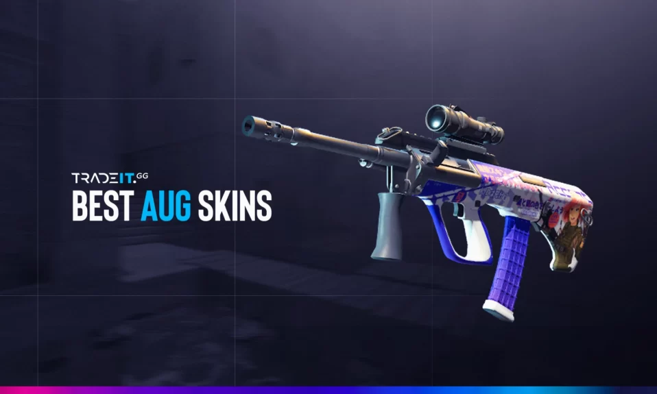 Best AUG Skins in CS2 – TOP 10